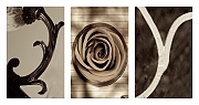 Wall_Art_Alphabet_Photography_Art_ 1134